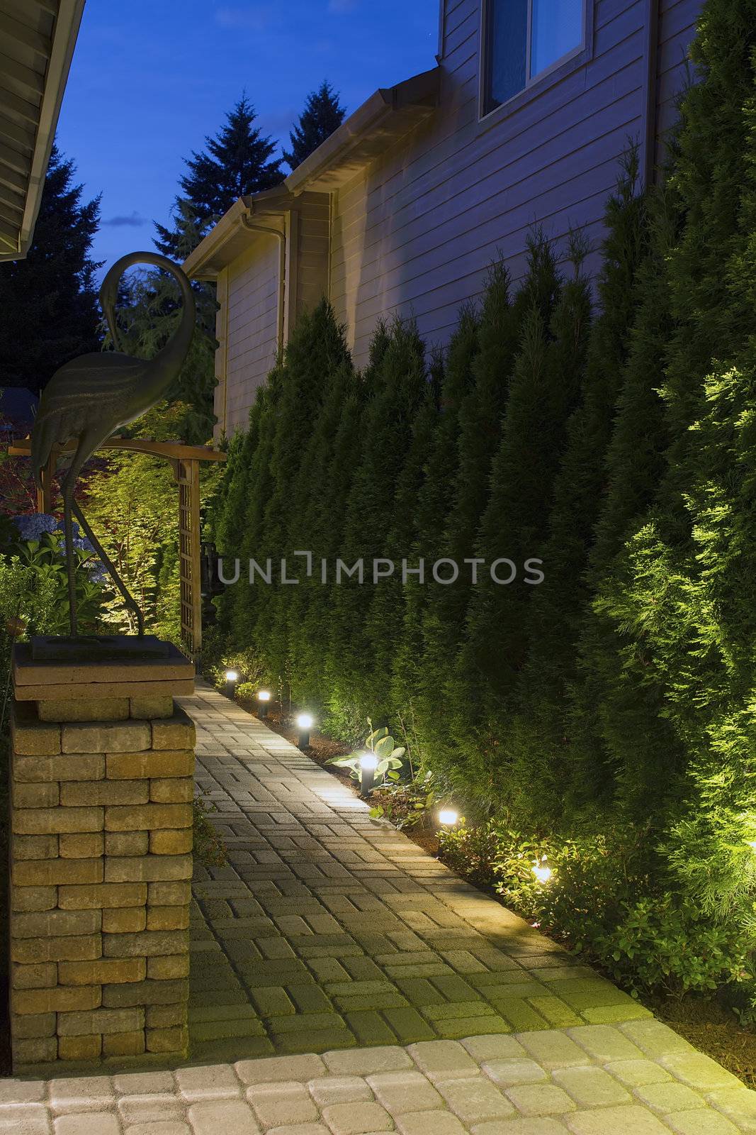 Backyard Garden Path at Night by jpldesigns