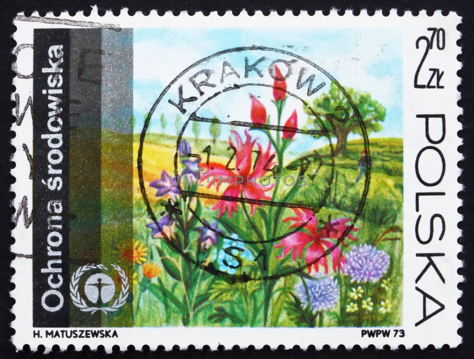 POLAND - CIRCA 1973: a stamp printed in the Poland shows Flowers on Meadow, Protection of the Environment, circa 1973
