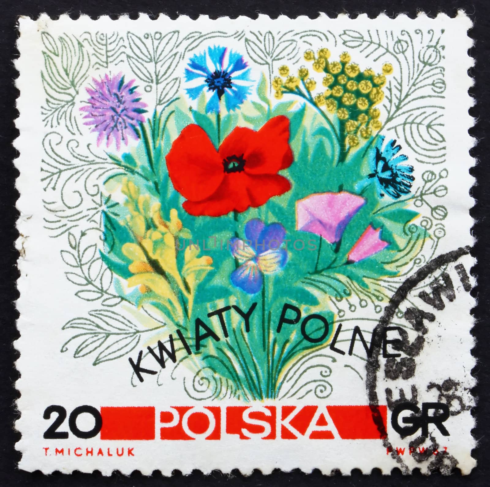 POLAND - CIRCA 1967: a stamp printed in the Poland shows Flowers of the Meadows, circa 1967