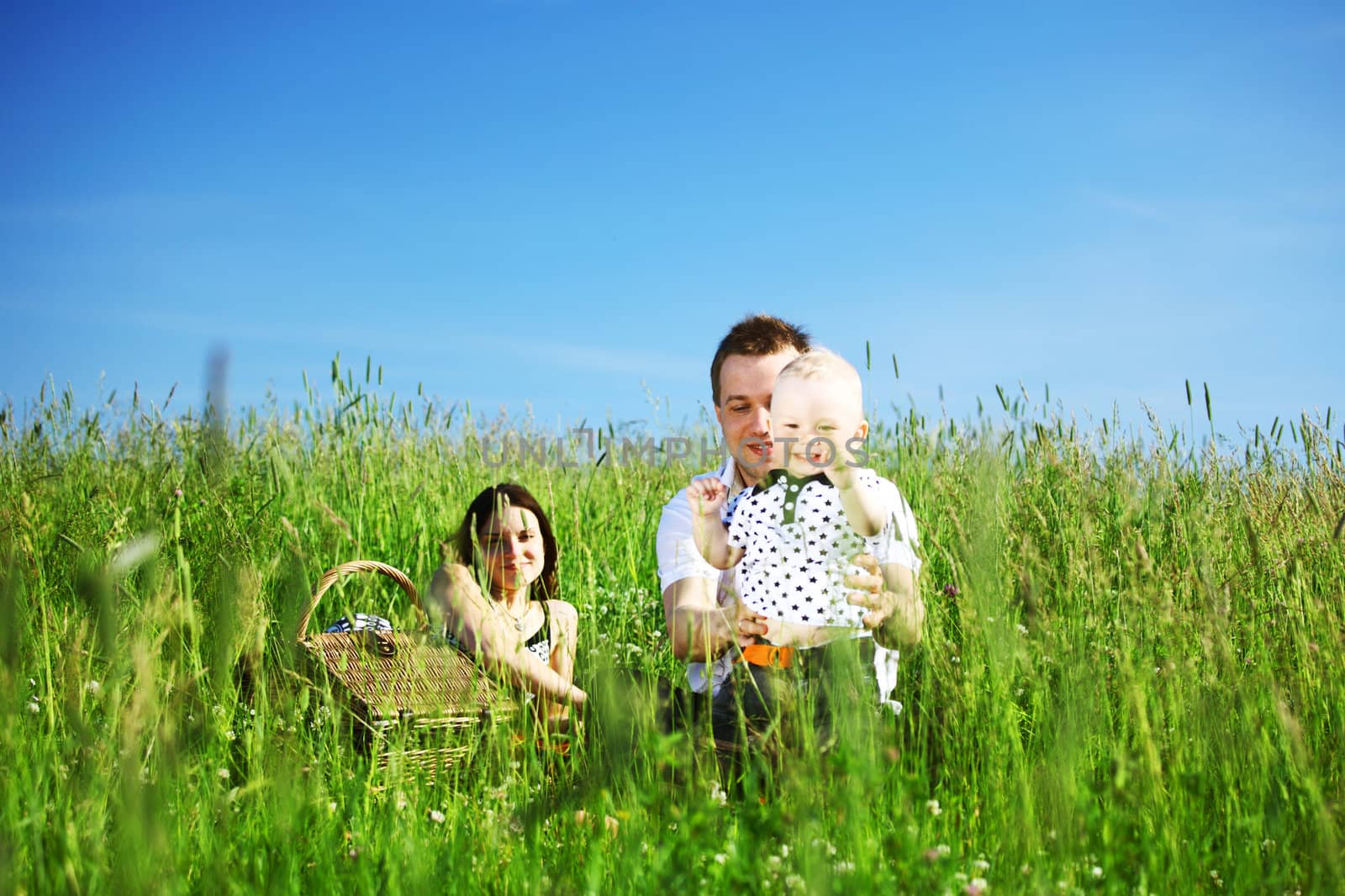  picnic of happy family on green grass