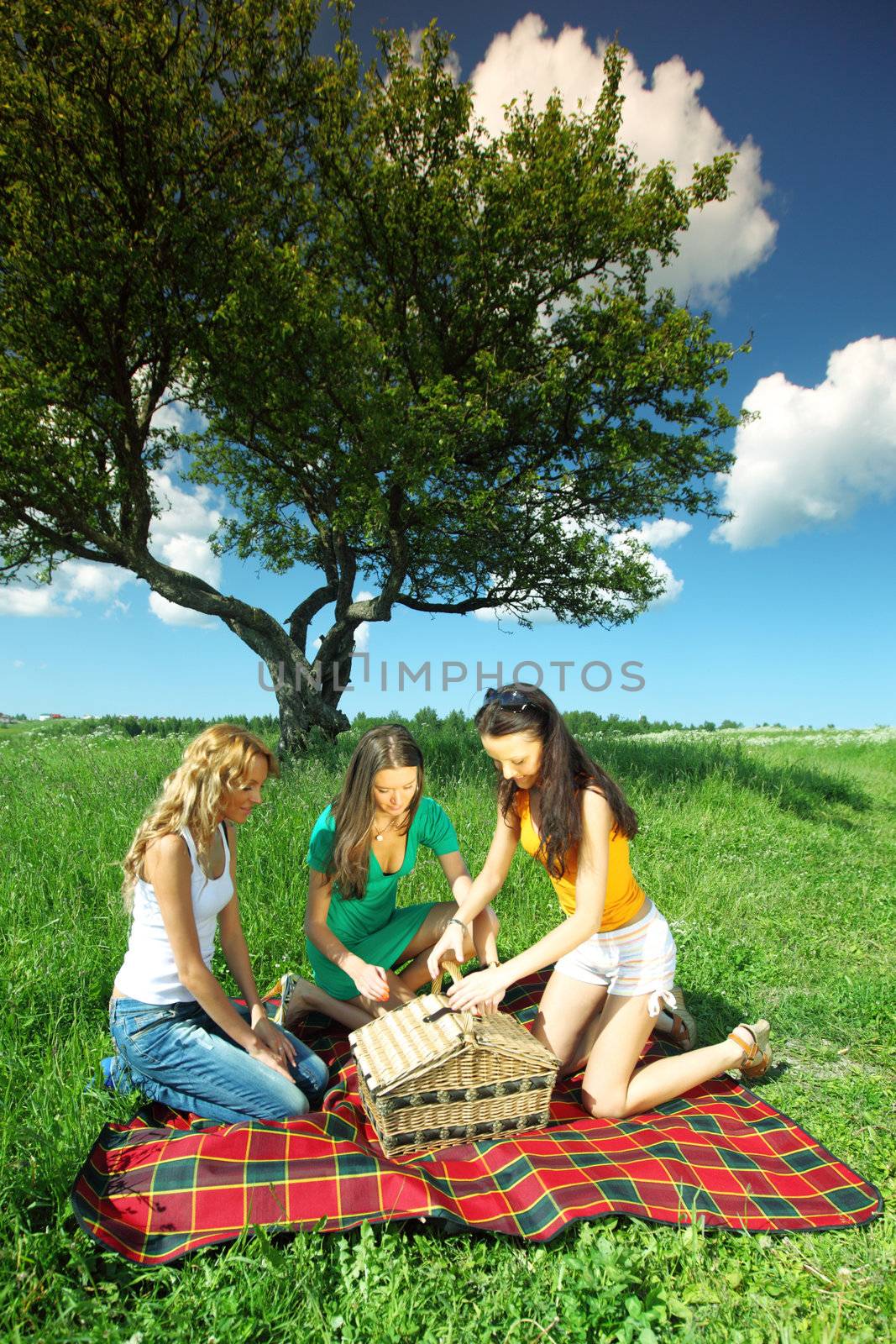 girlfriends on picnic in green grass