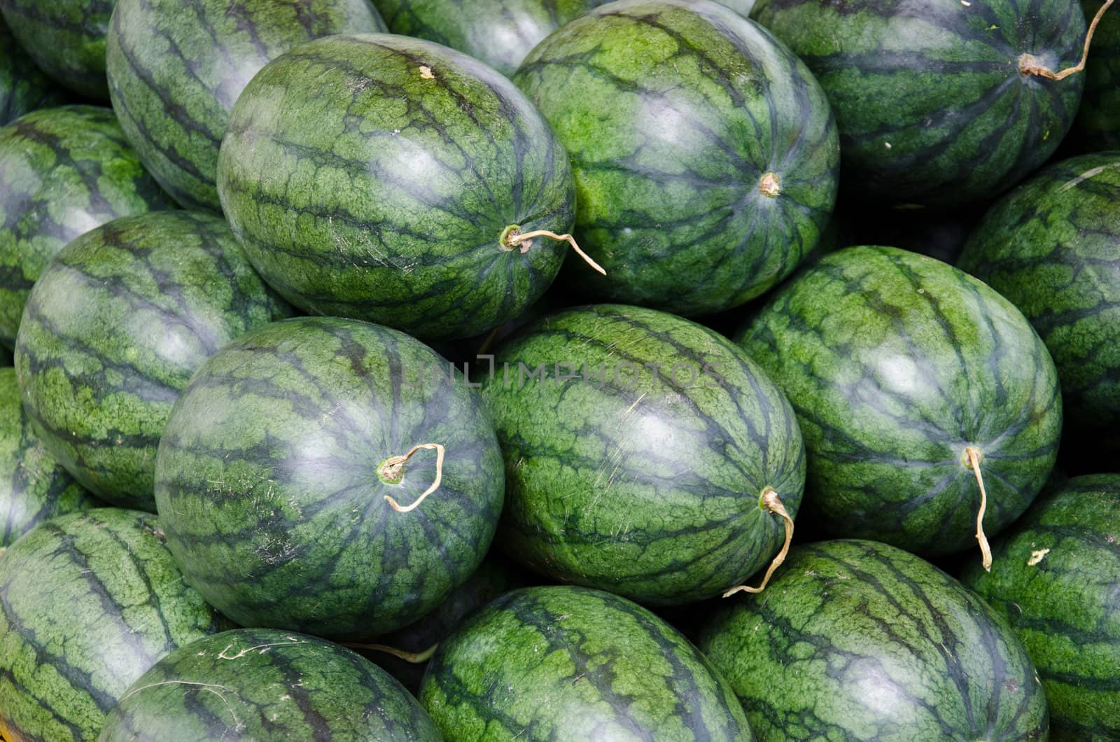 fresh delicious watermelon, sweet taste.