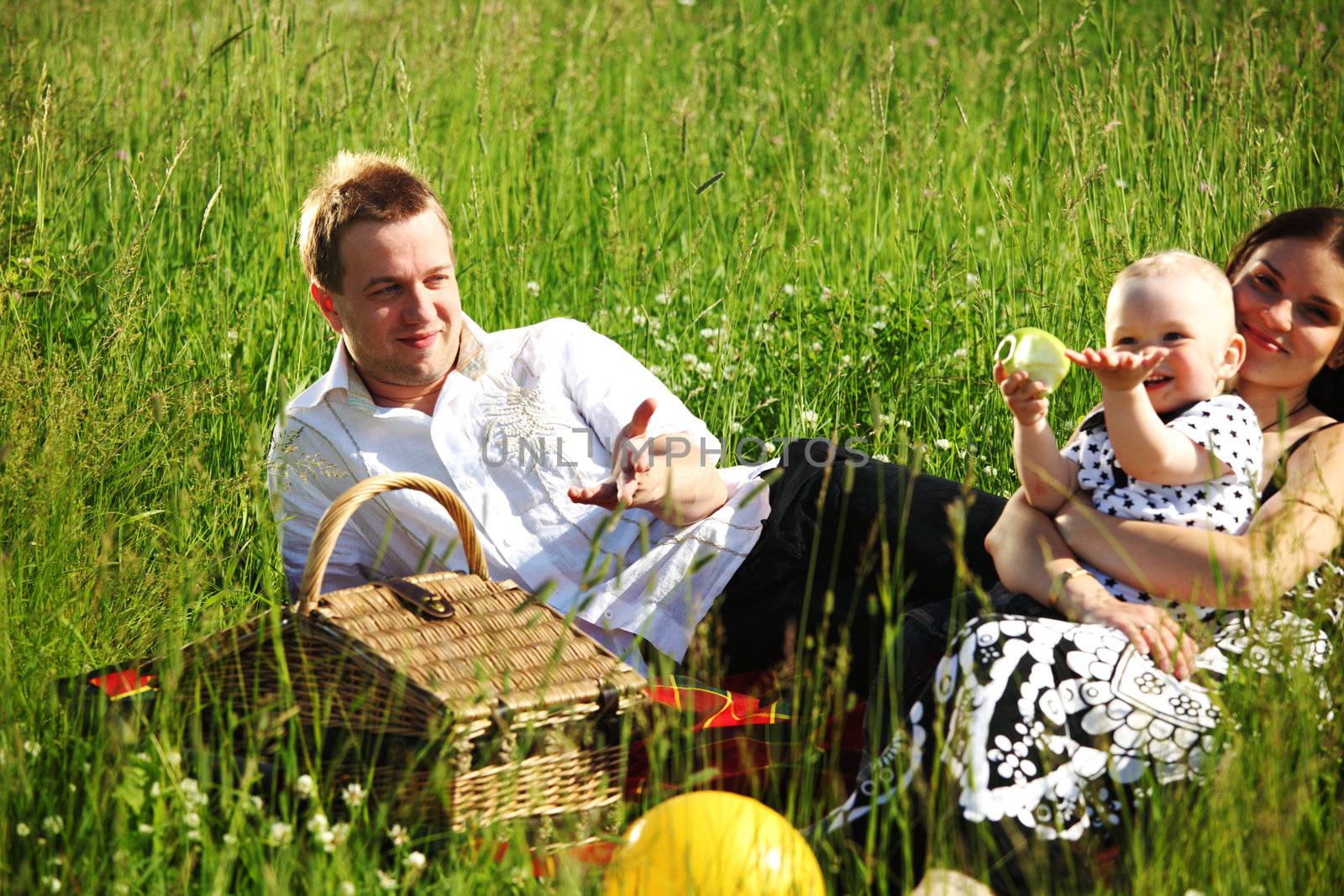  happy family on picnic in green grass