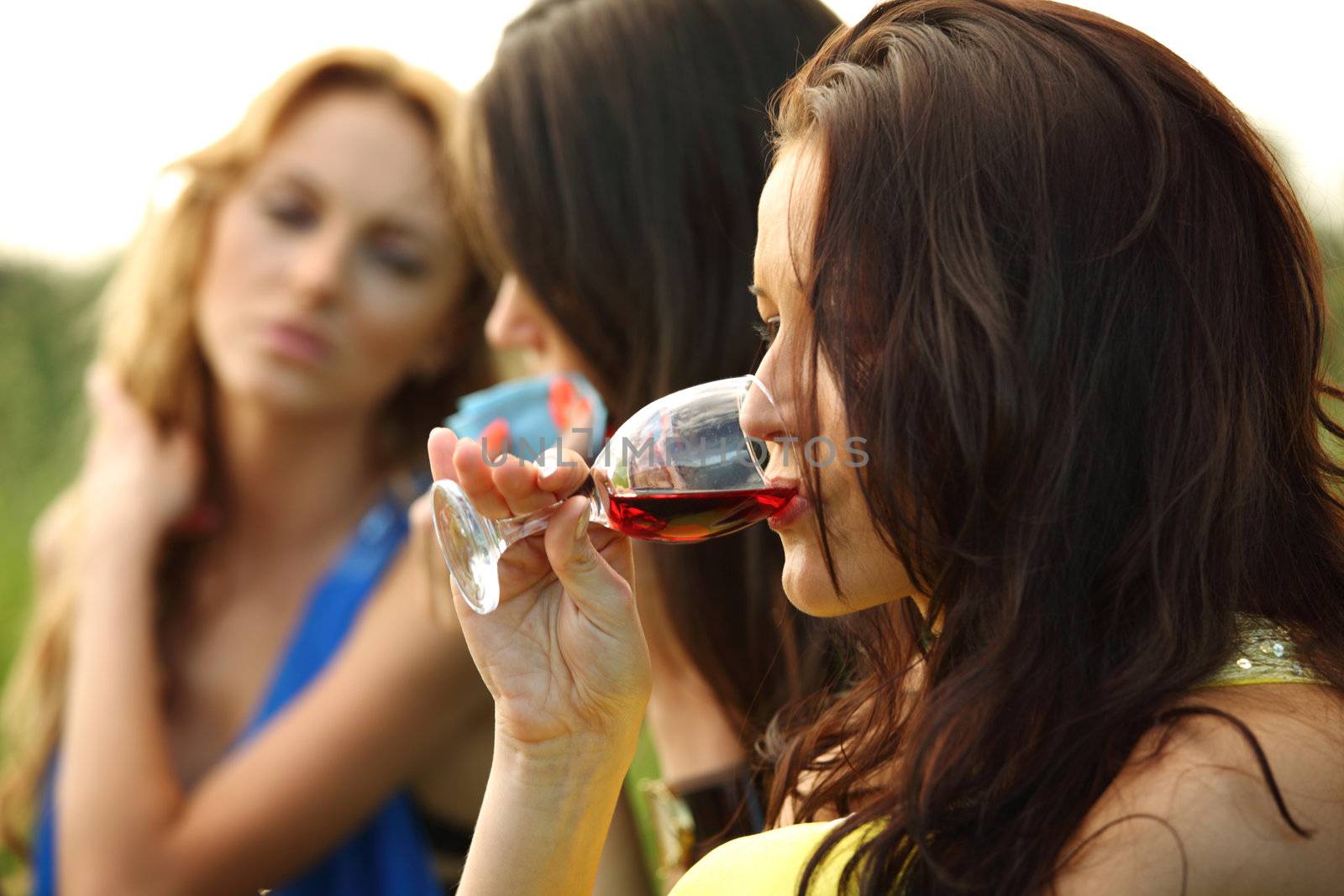 women drink wine on piknic