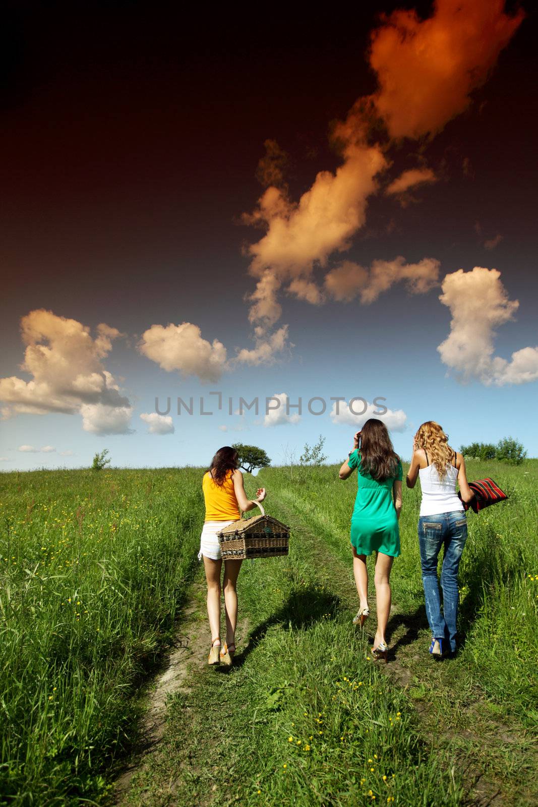 girlfriends on picnic in green grass field