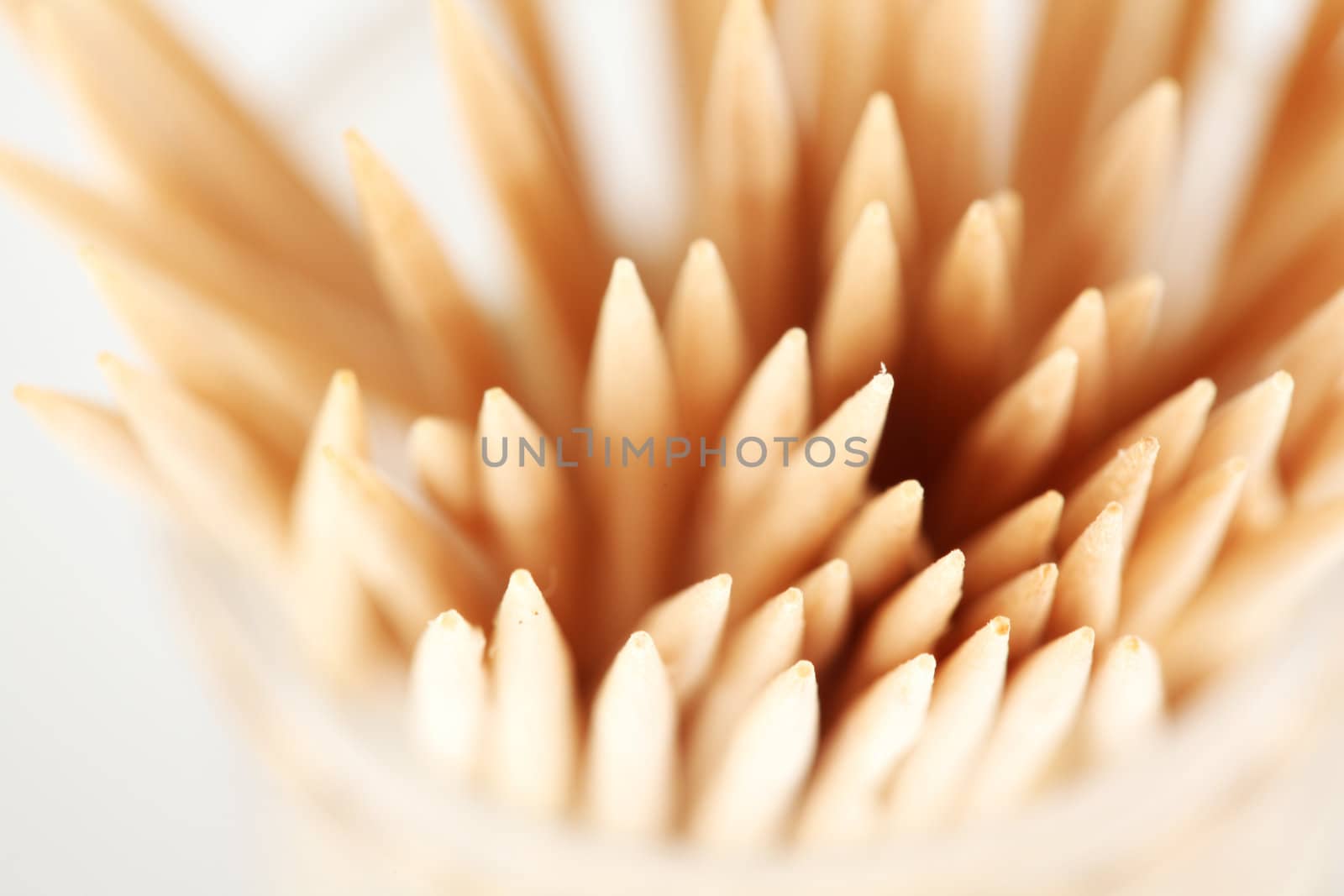 toothpick macro close up