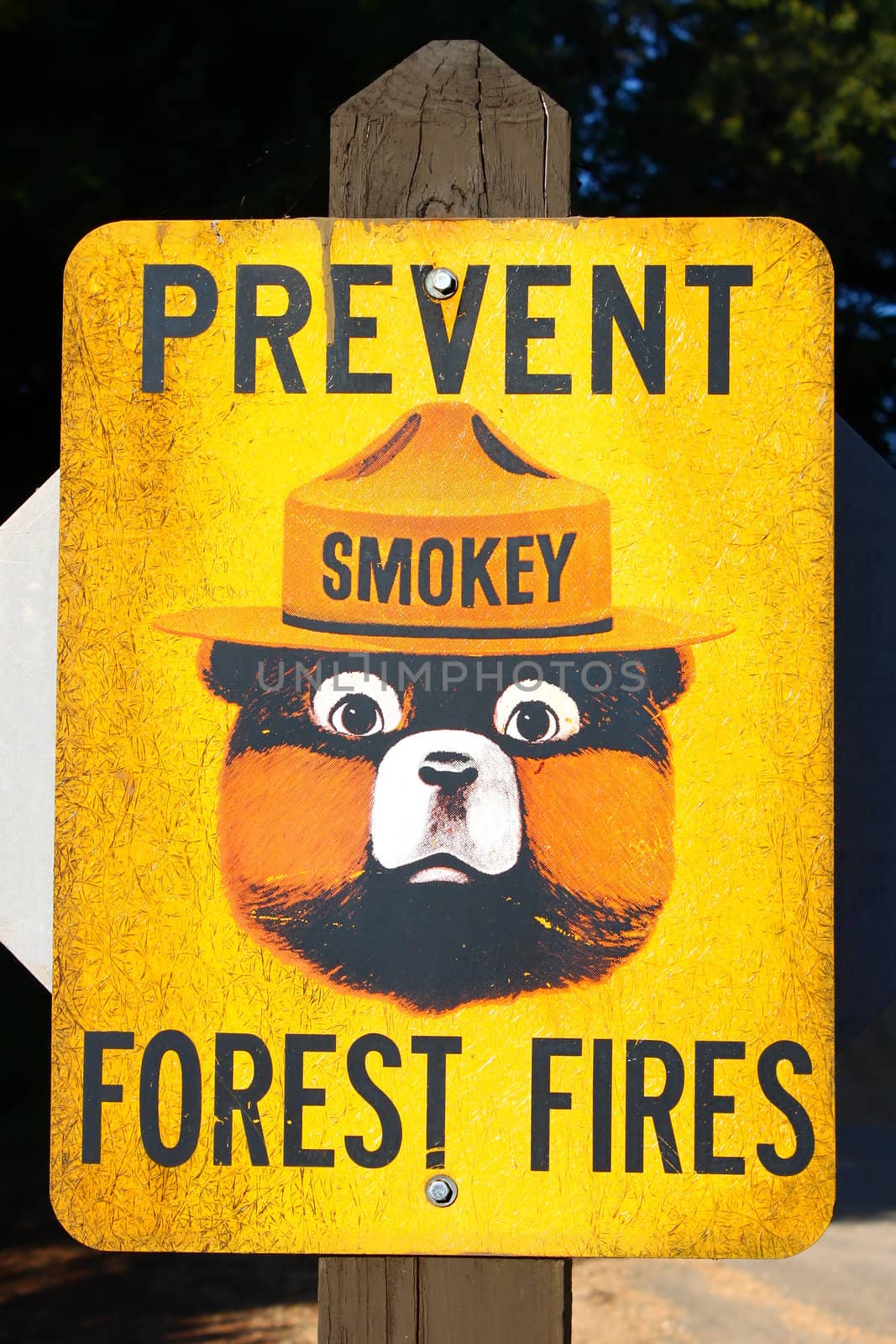 Prevent Forest Fires Sign by Wirepec