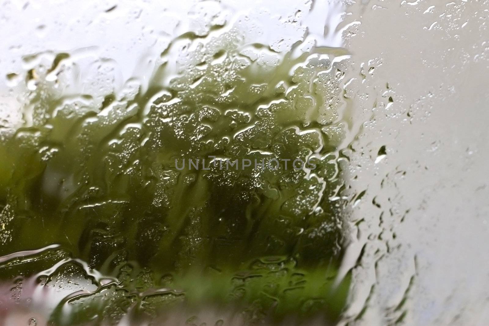 Rain drops on the window