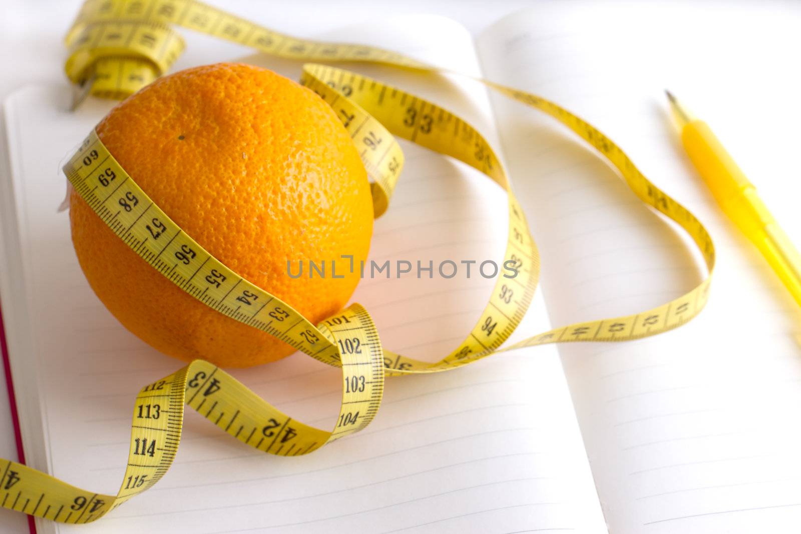 meter and nutrition diary isolated with soft shadow over white background