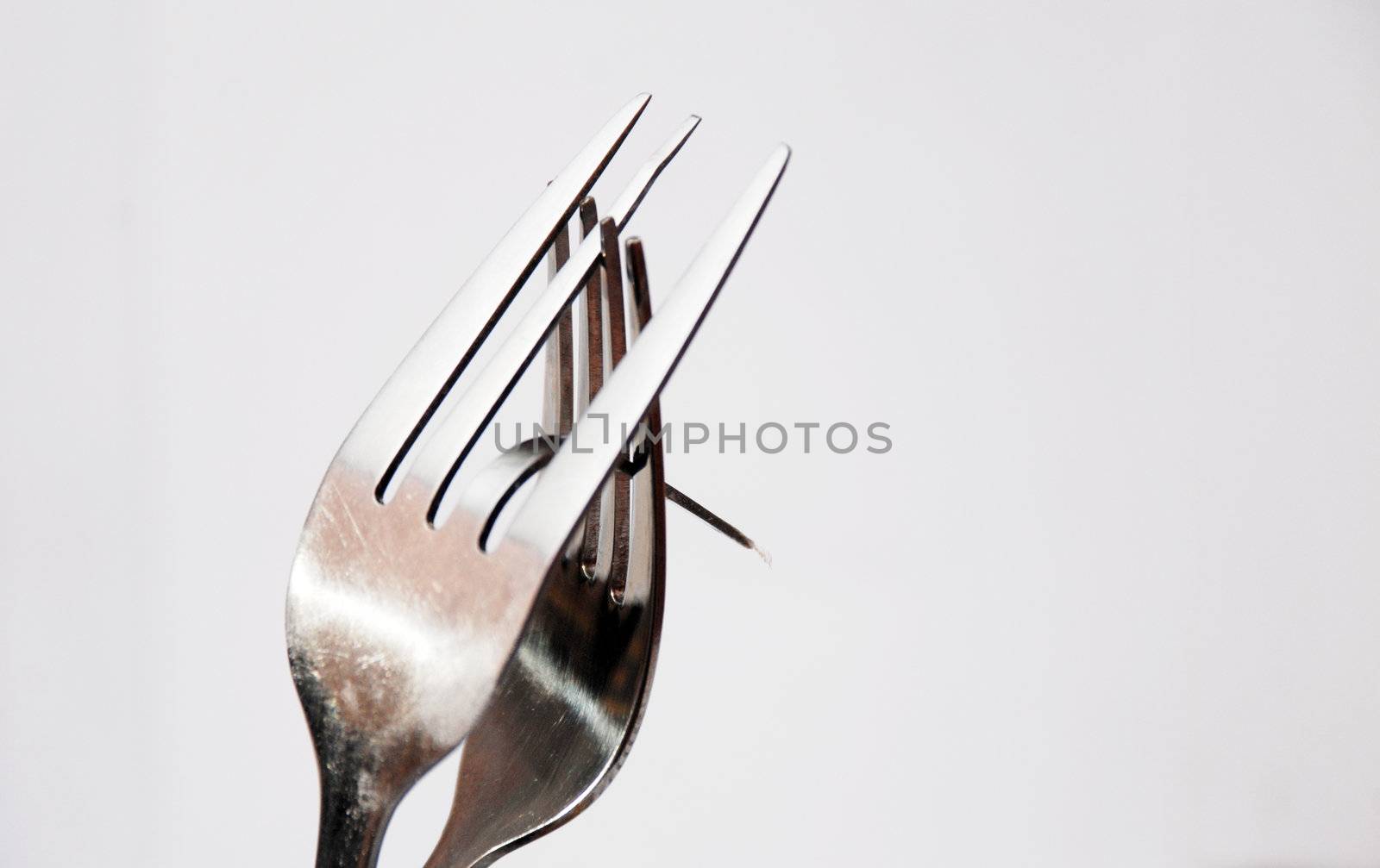 forks