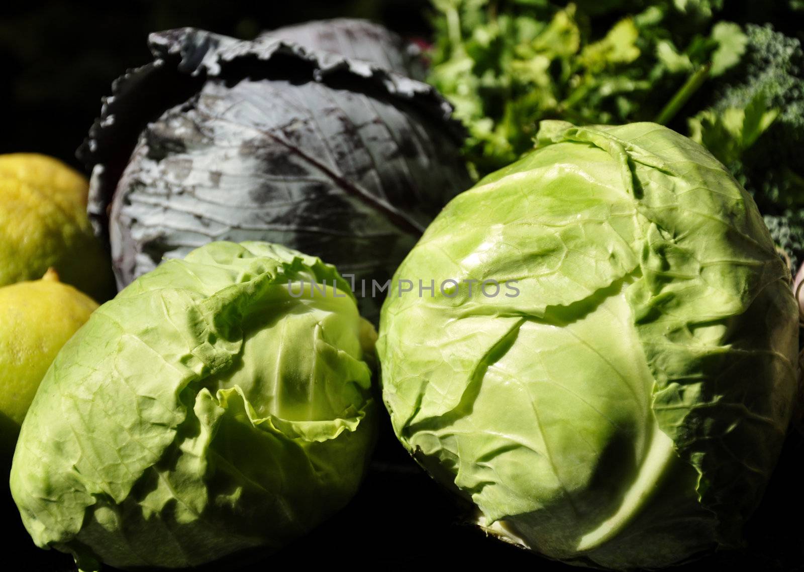 Green Cabbage and Red Cabbage by kdreams02