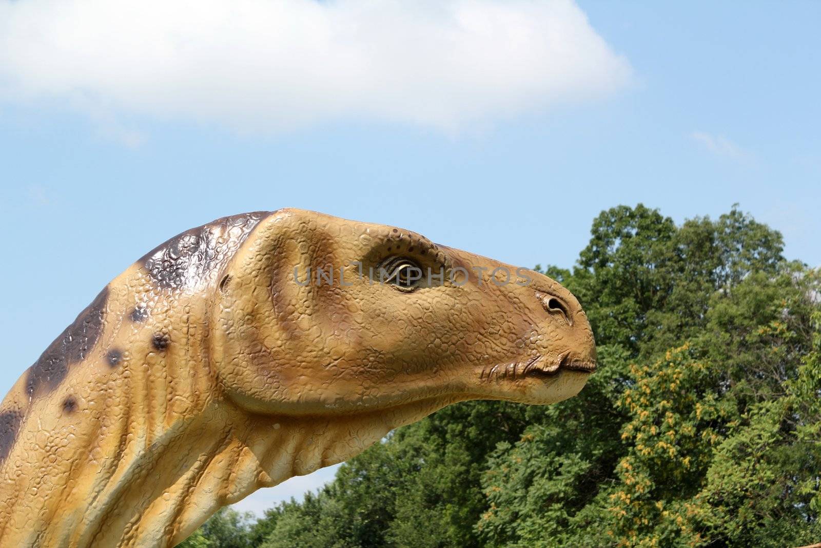 dinosaur head
