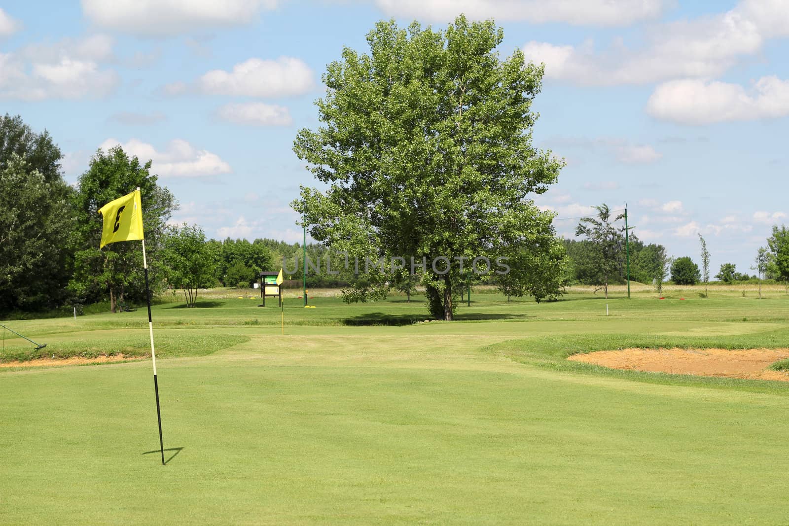 golf field summer landscape