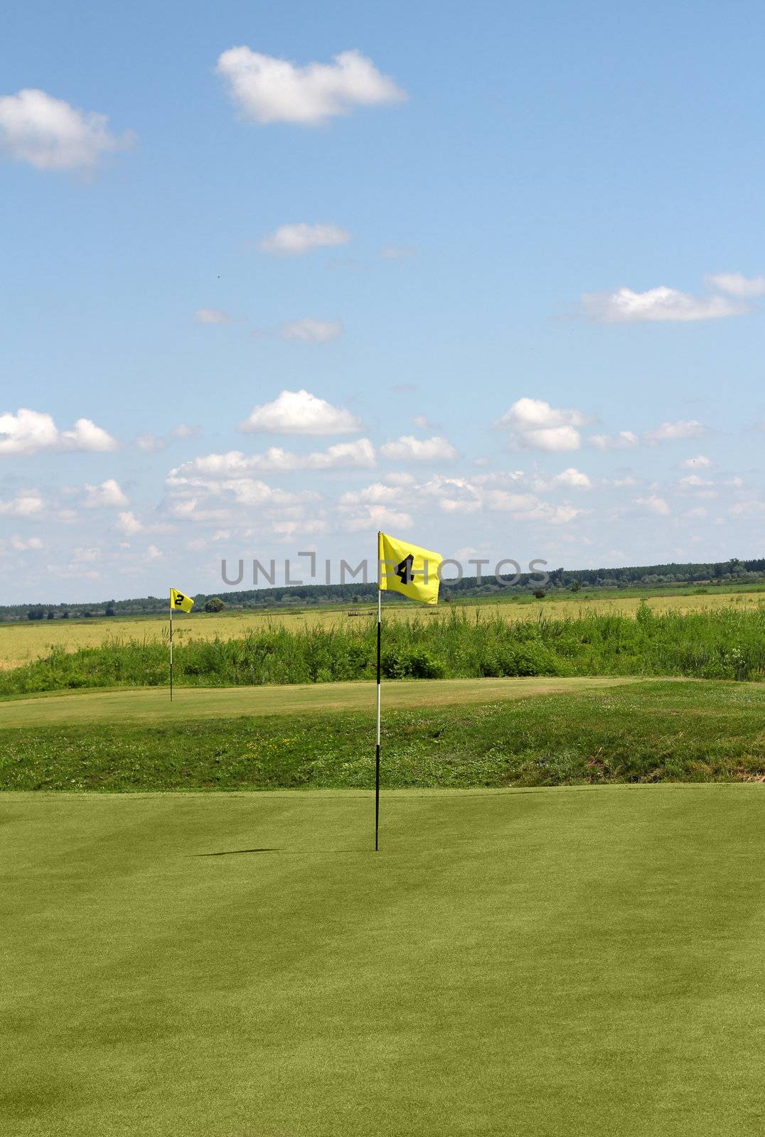 two golf yellow flag