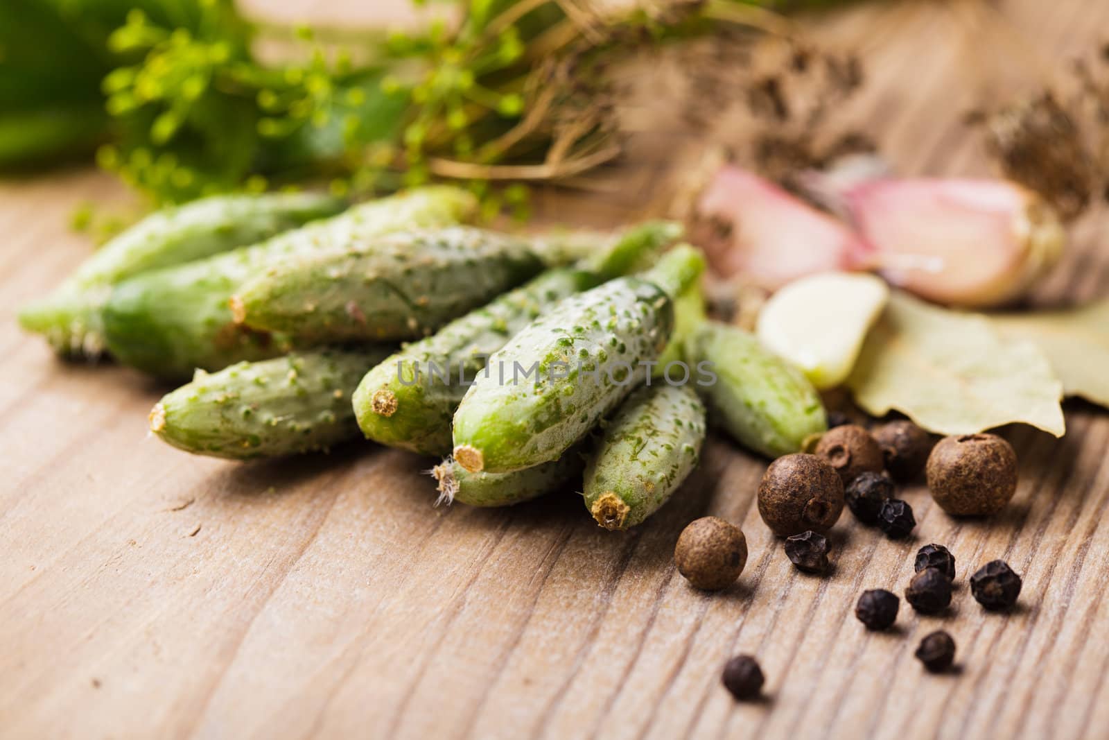 Preparation of small cucumber preserving on wooden table