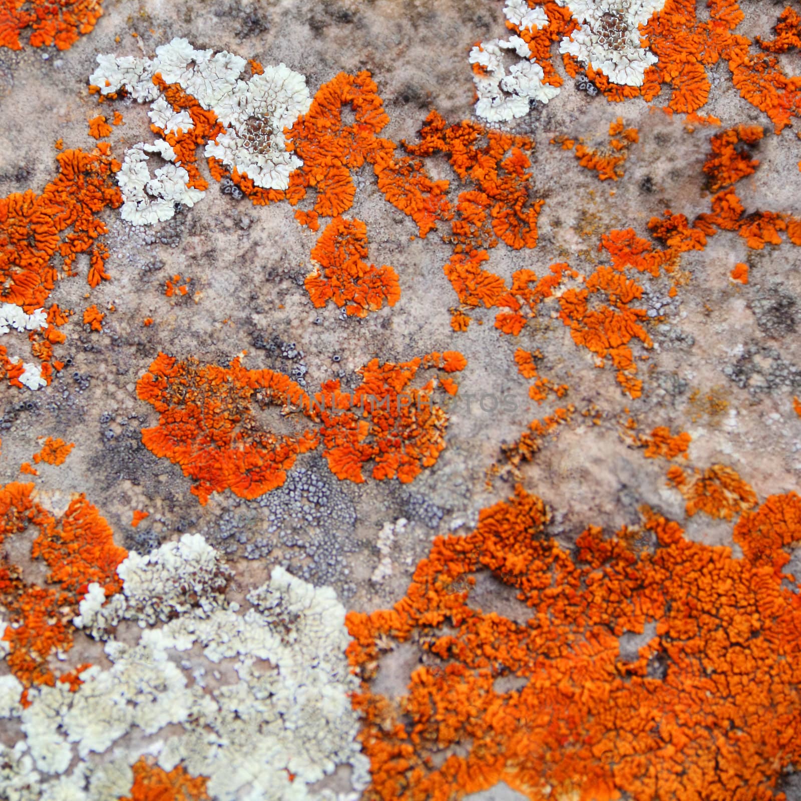 Image of texture with colorful mineral