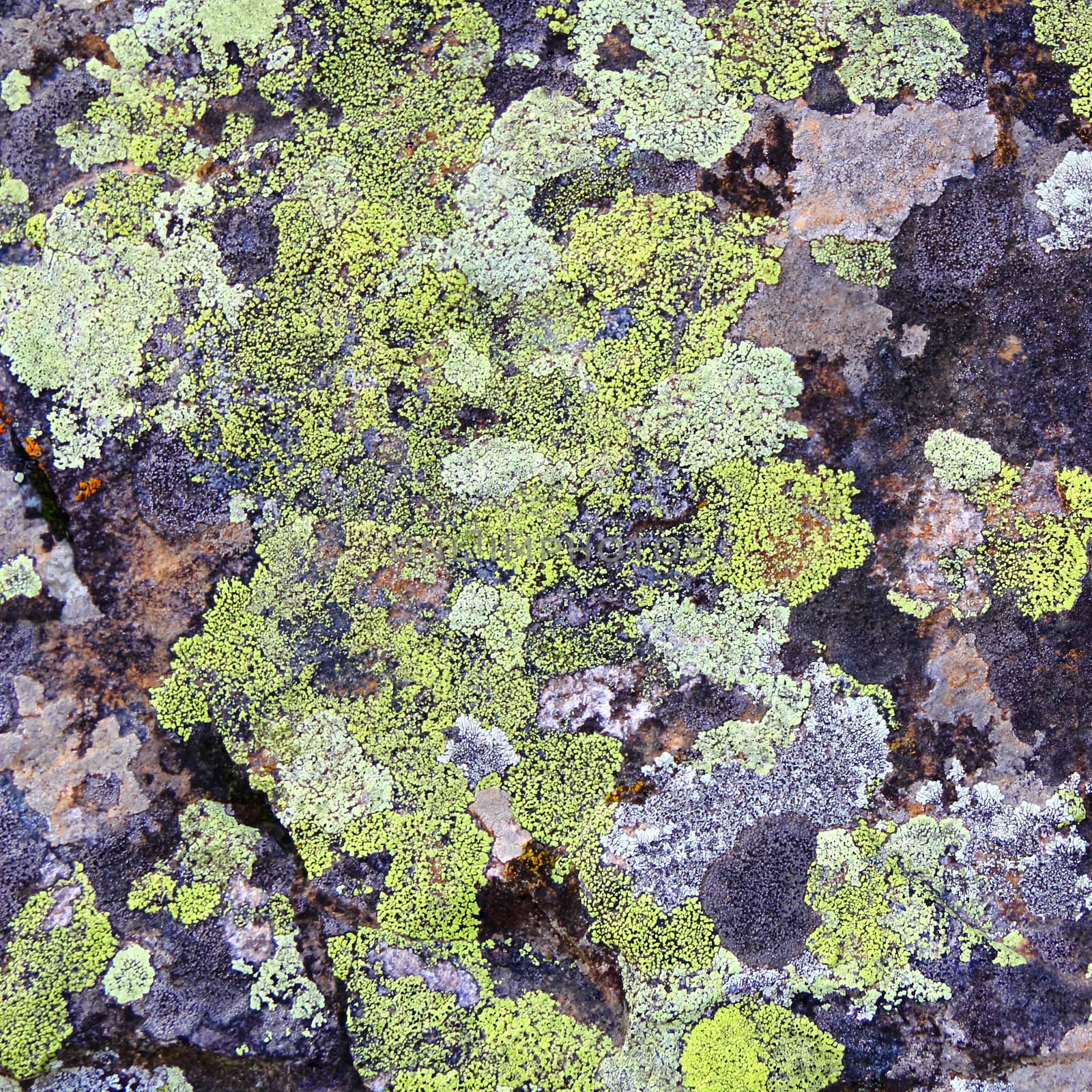 Image of texture with colorful mineral