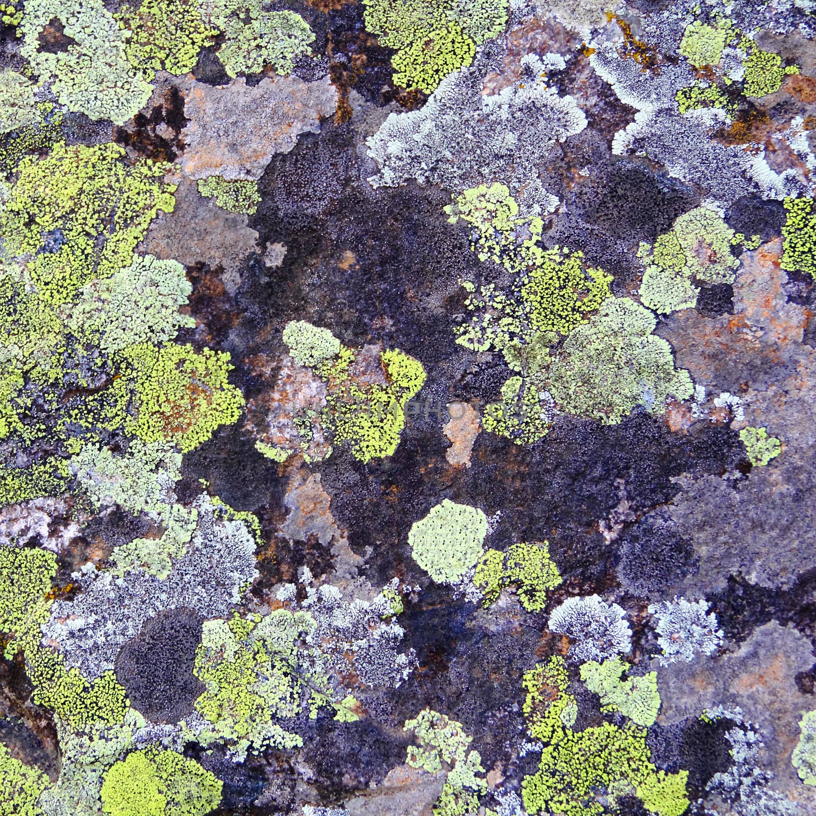 Image of texture with colorful mineral