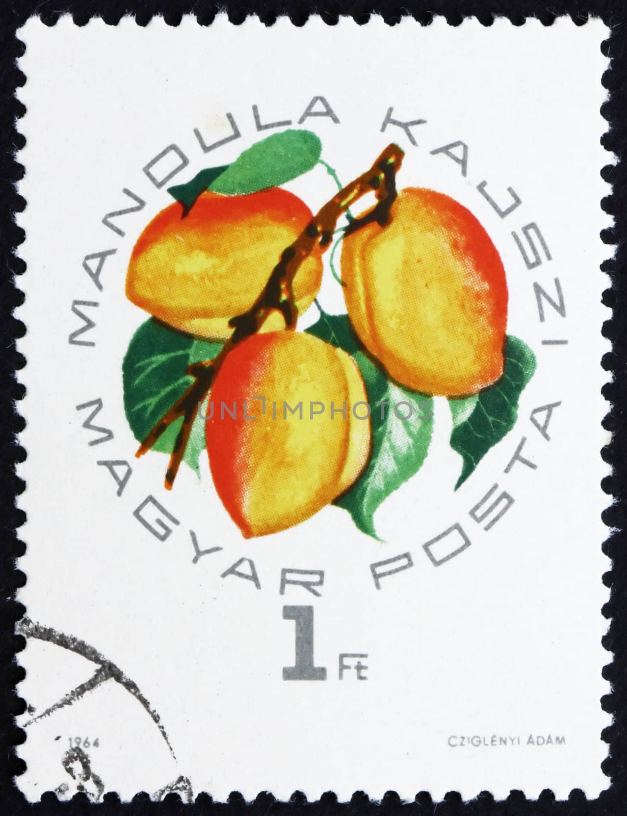 HUNGARY - CIRCA 1964: a stamp printed in the Hungary shows Almond Apricot, Fruit, circa 1964