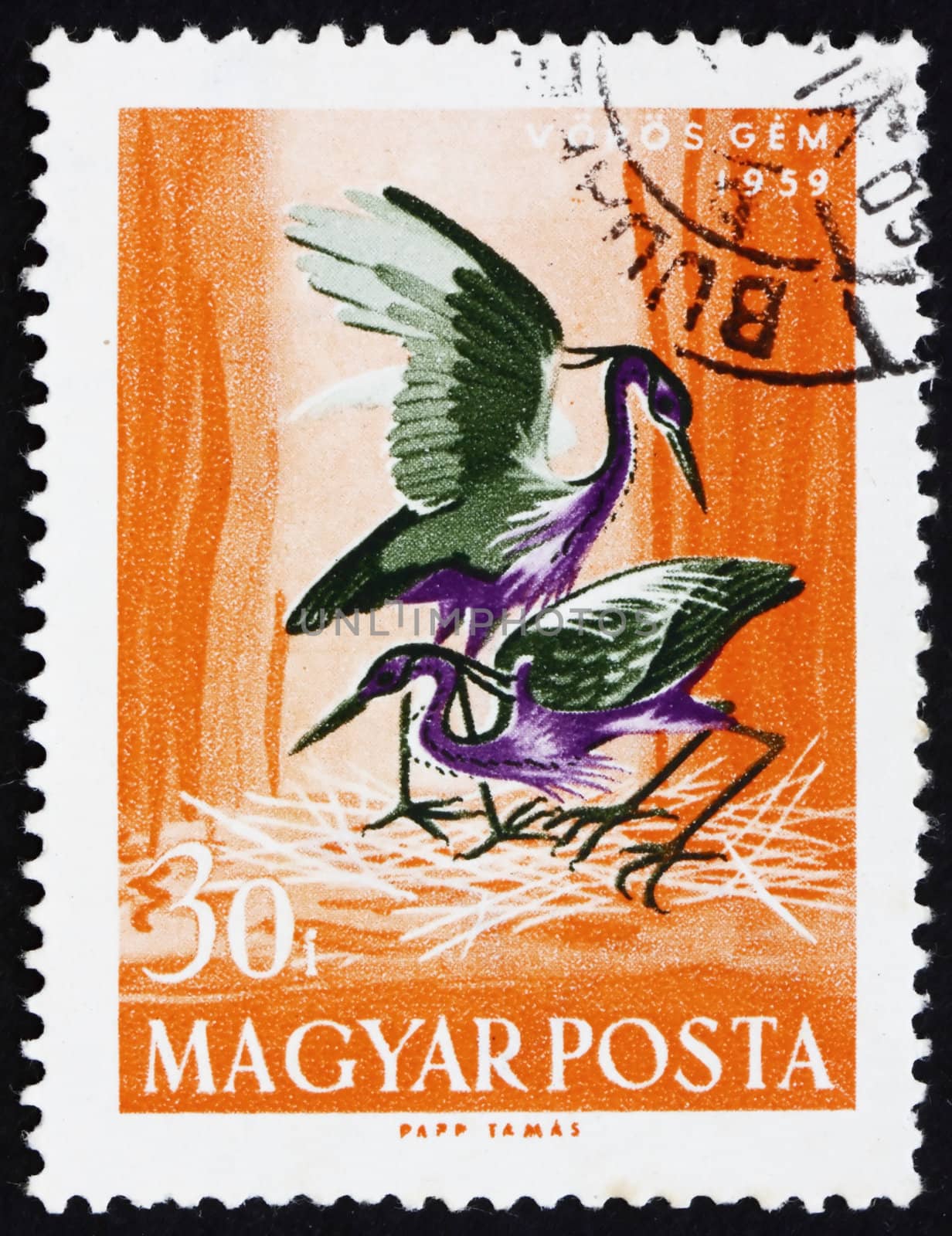 HUNGARY - CIRCA 1959: a stamp printed in the Hungary shows Purple Heron and Nest, Ardea Purpurea, Bird, circa 1959