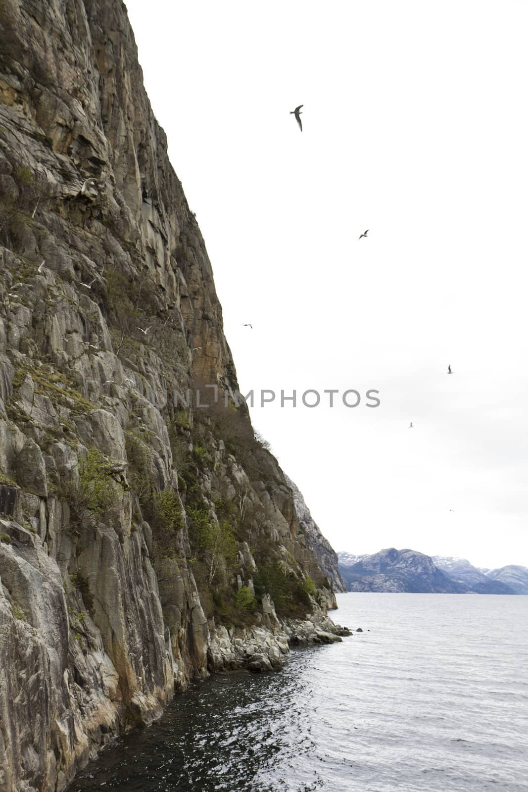 steep rock at coast in norway - vertical image