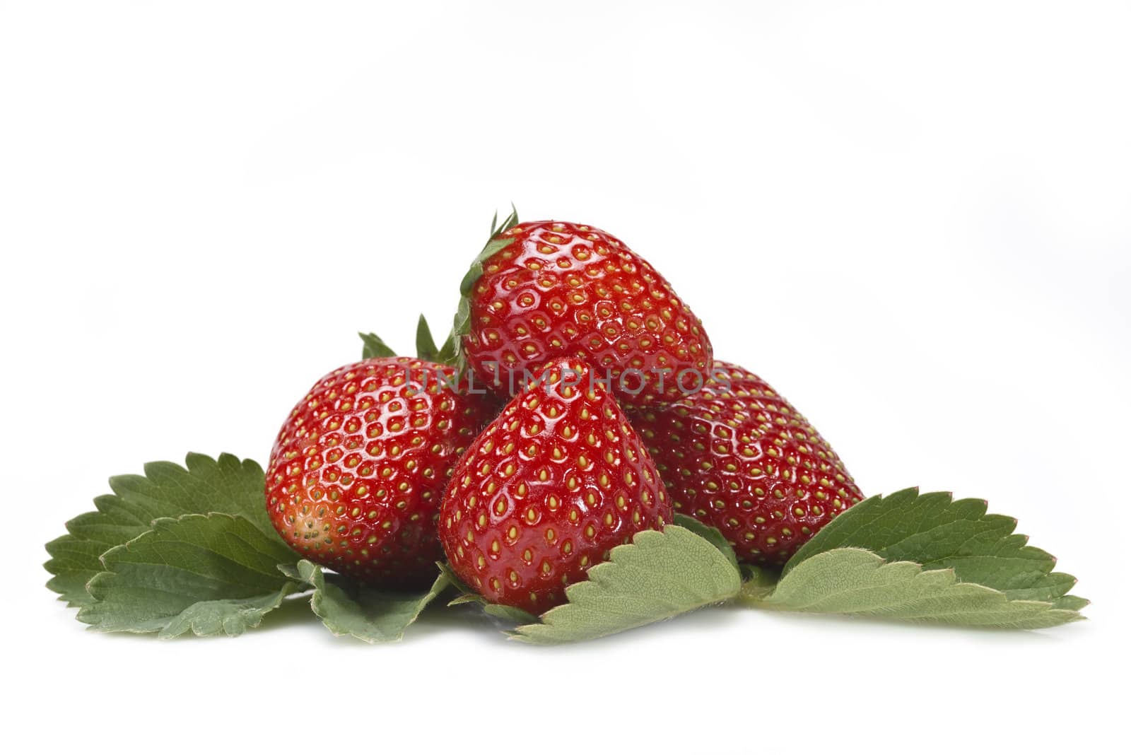 Strawberries with their leaves isolated on a white background