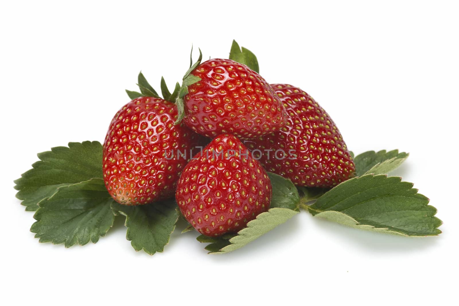 Strawberries with their leaves isolated on a white background