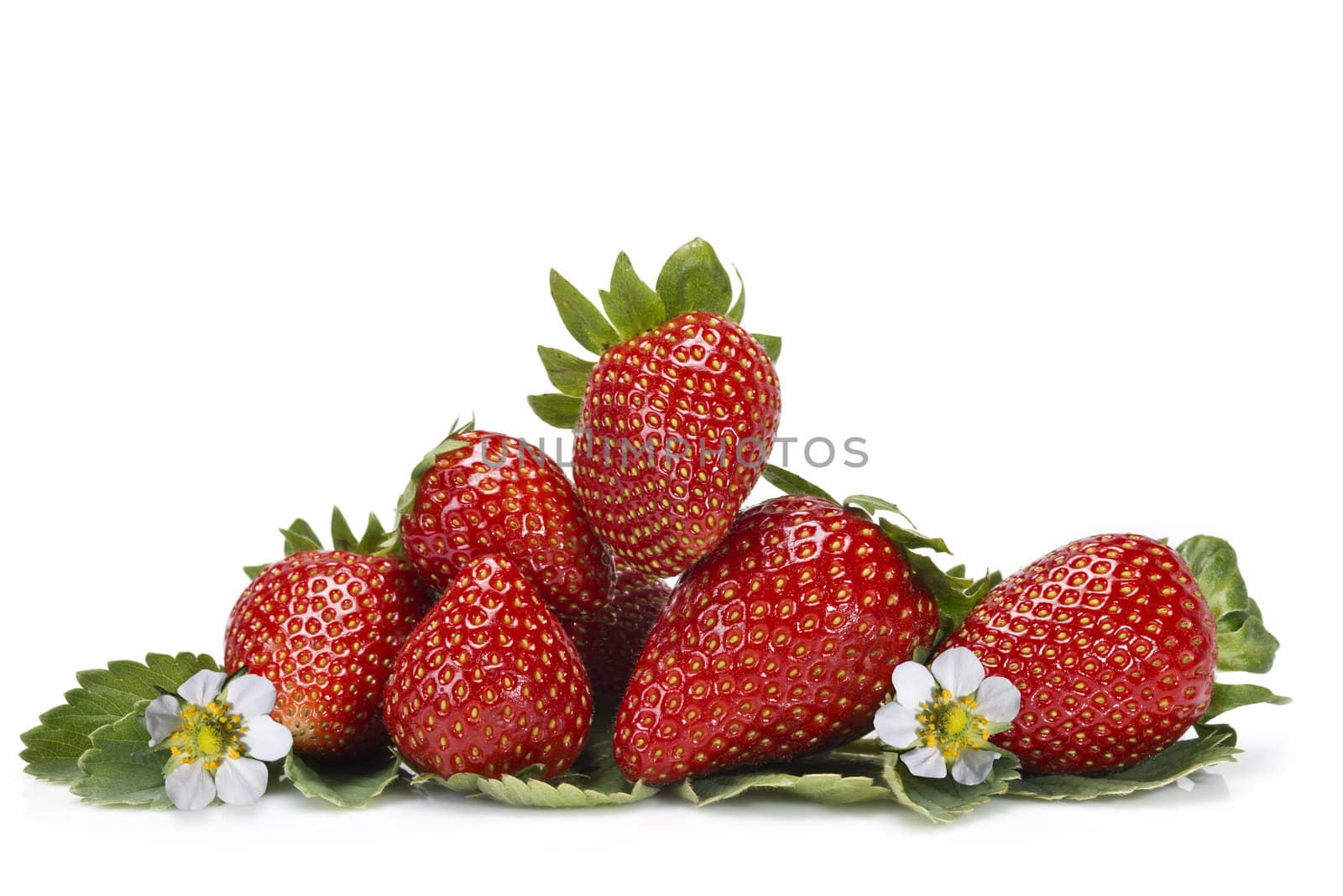 Strawberries with their leaves isolated on a white background