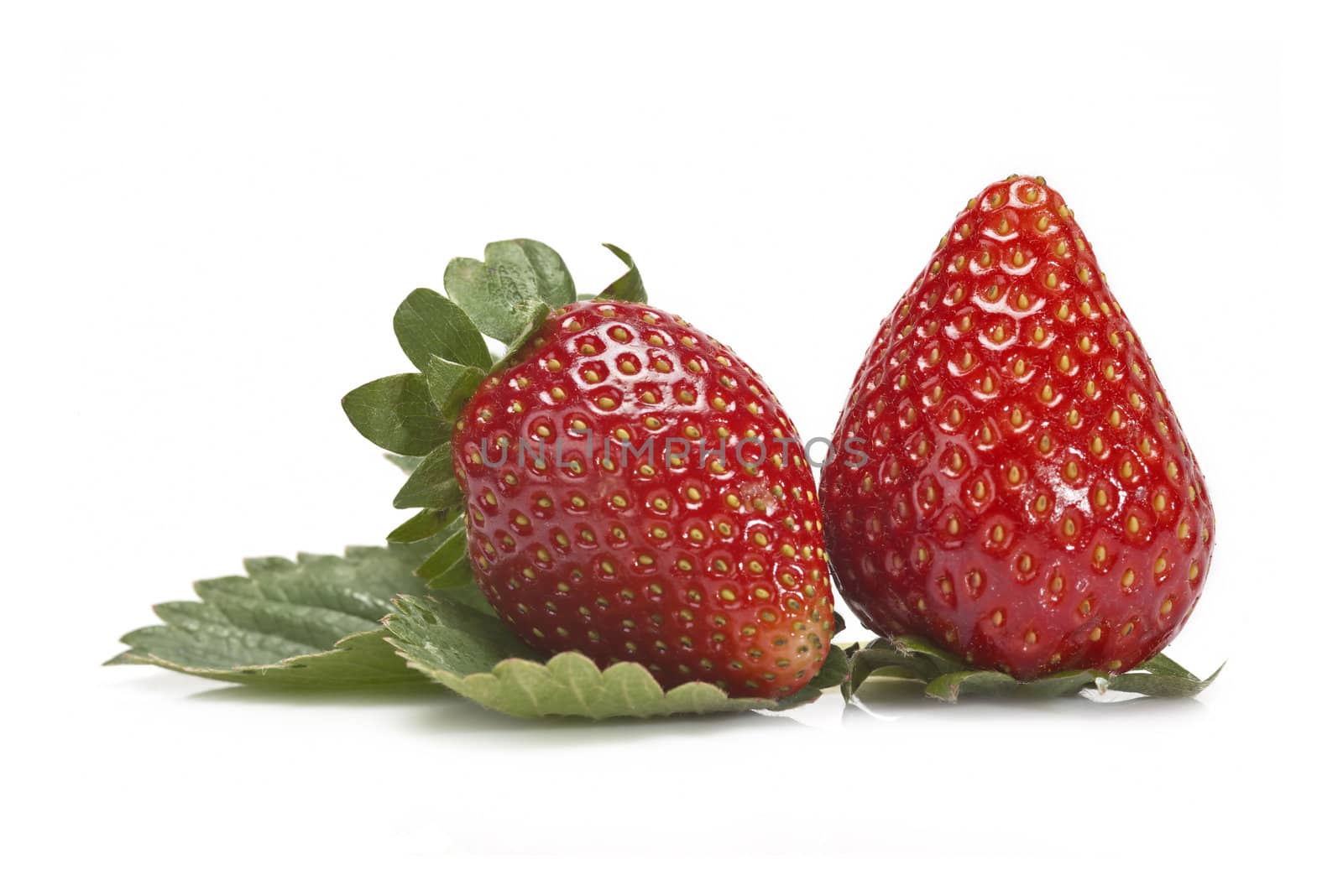 Strawberries with their leaves isolated on a white background