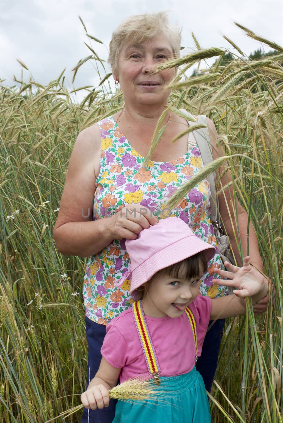 The grandmother with the grand daughter on a rye field