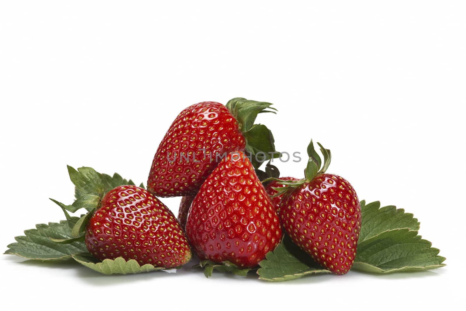 Strawberries with their leaves isolated on a white background