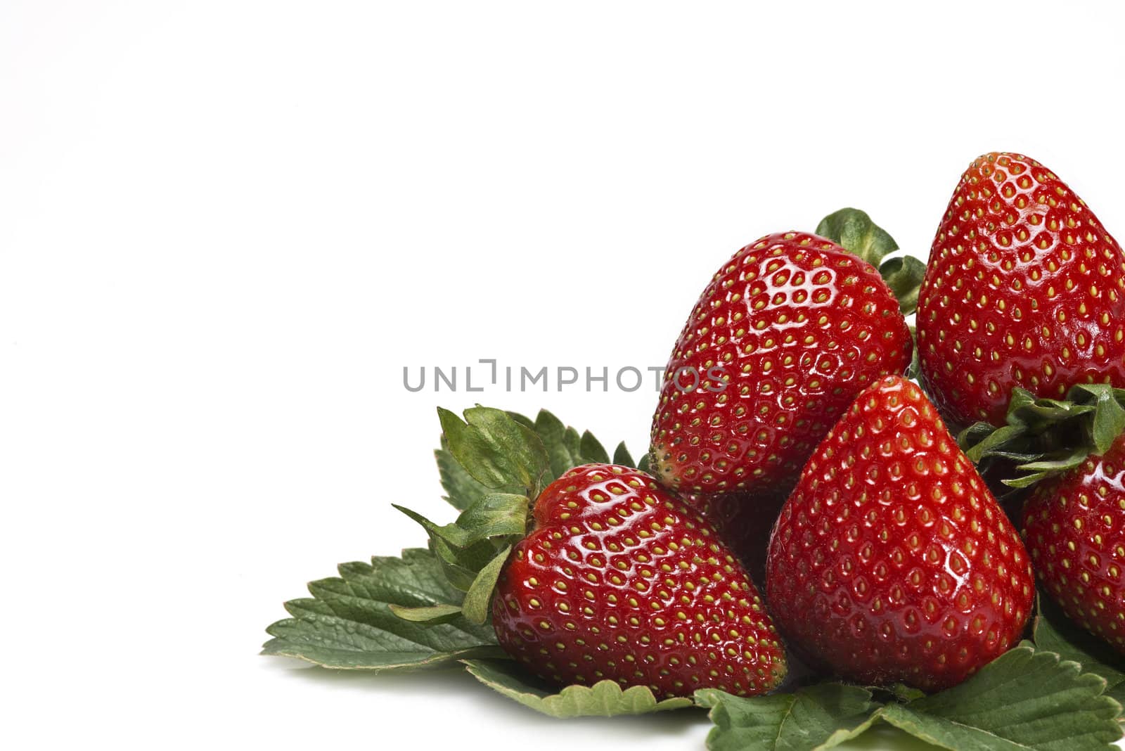 Strawberries with their leaves isolated on a white background