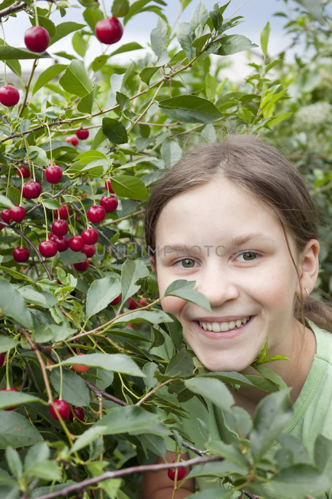 Girl under the cherry tree in the garden