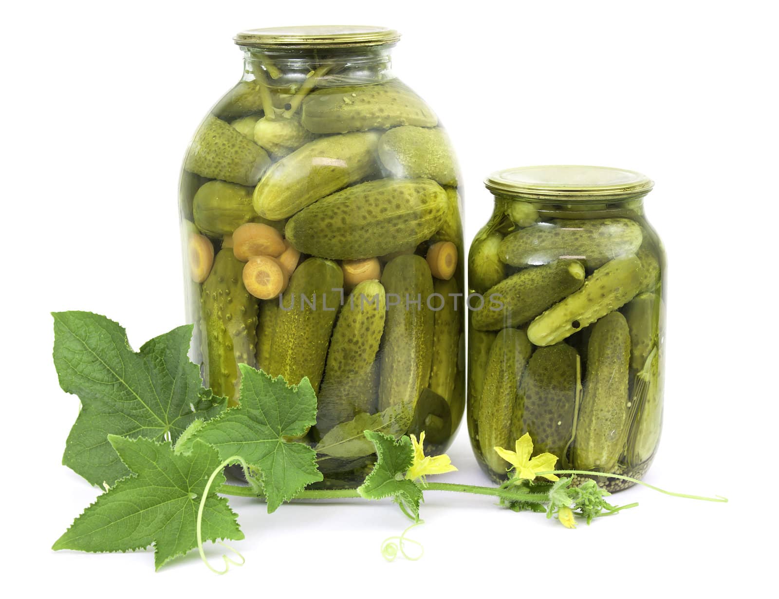 Pickled cucumbers in jars on a white background