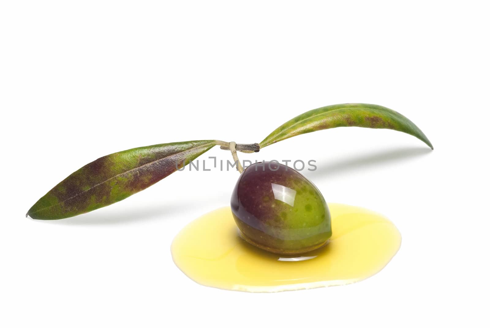 Colorful olive with leaves and covered in oil isolated over a white background.