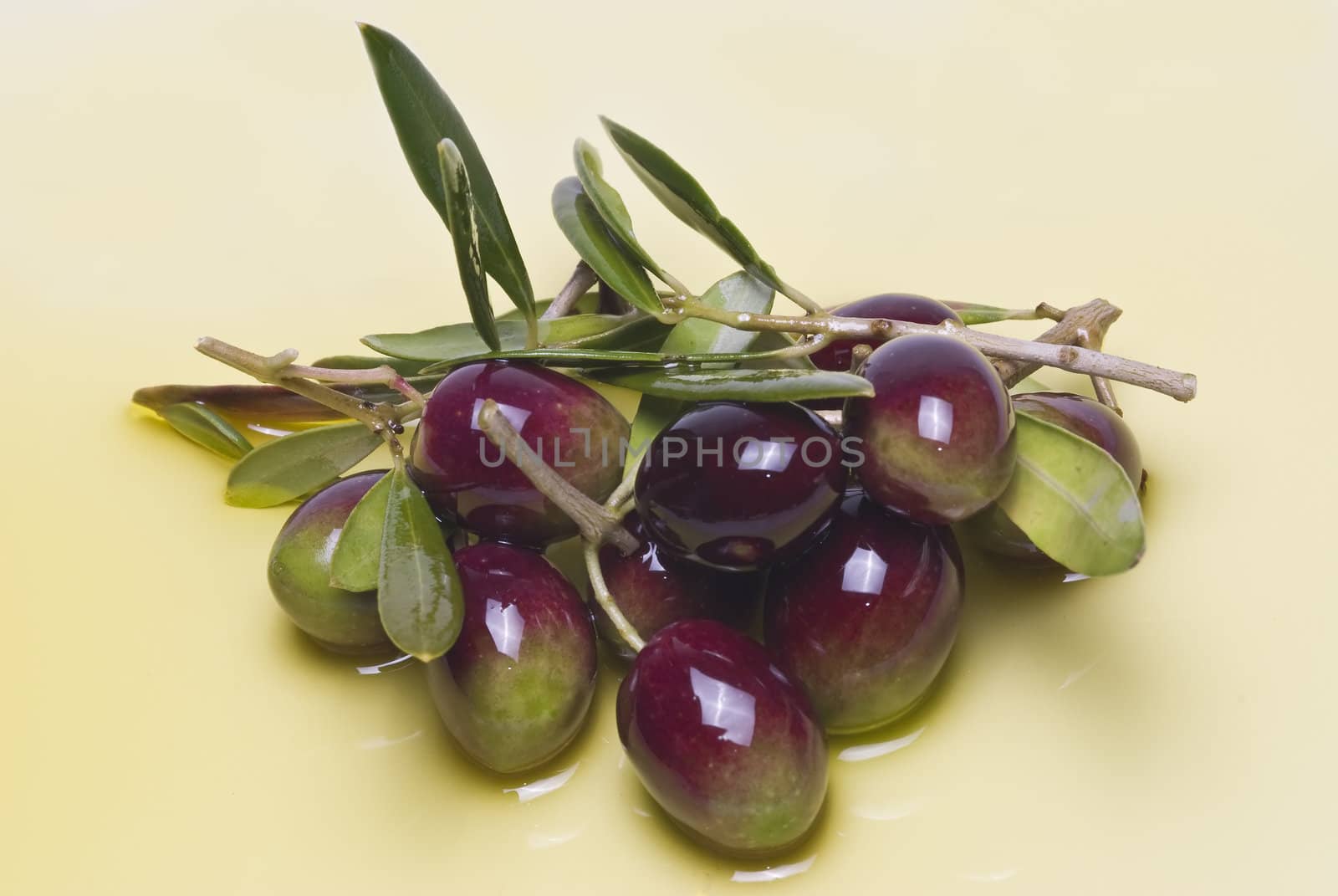 Olives covered in oil over a white basckground.