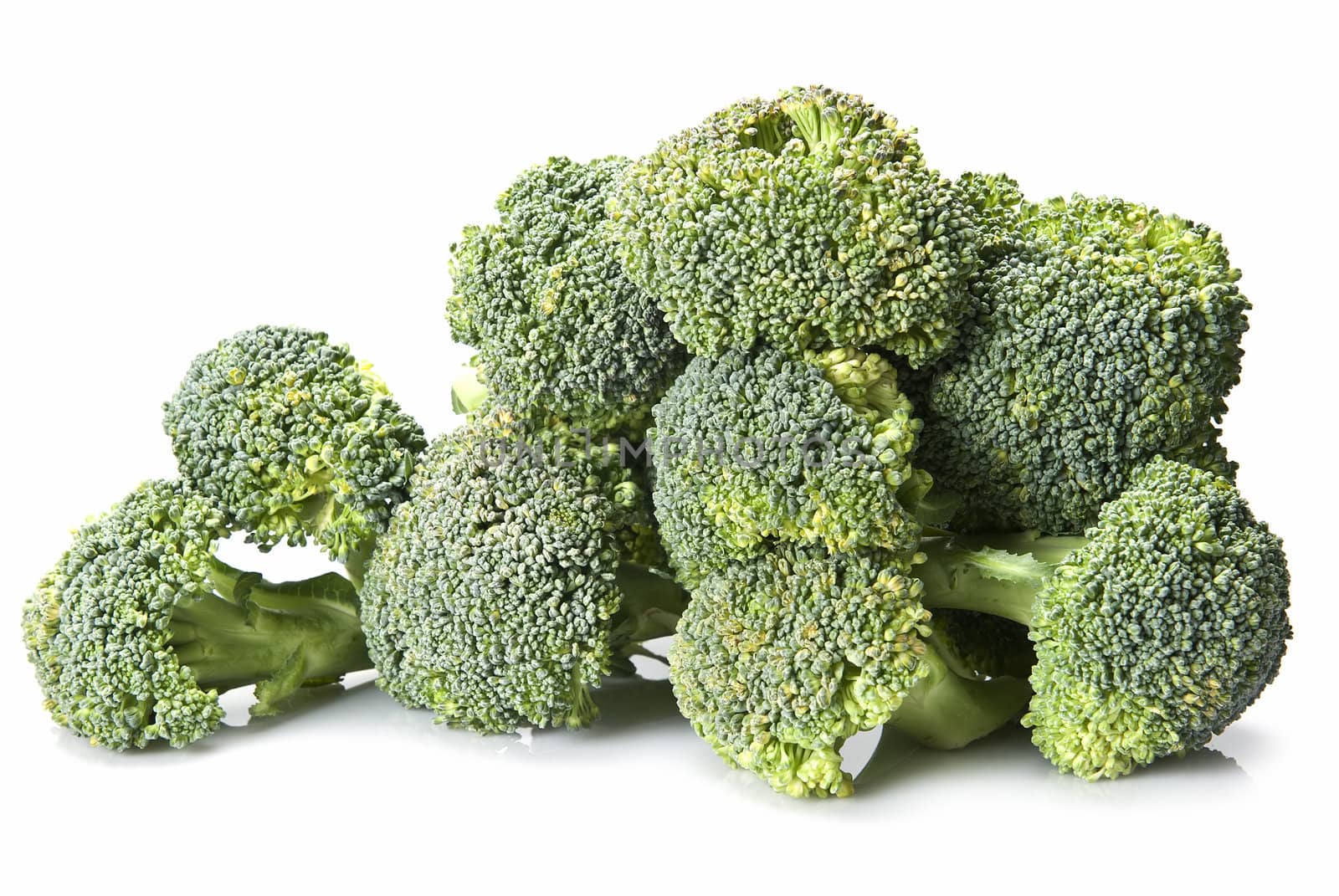 Fresh broccoli isolated over a white background.