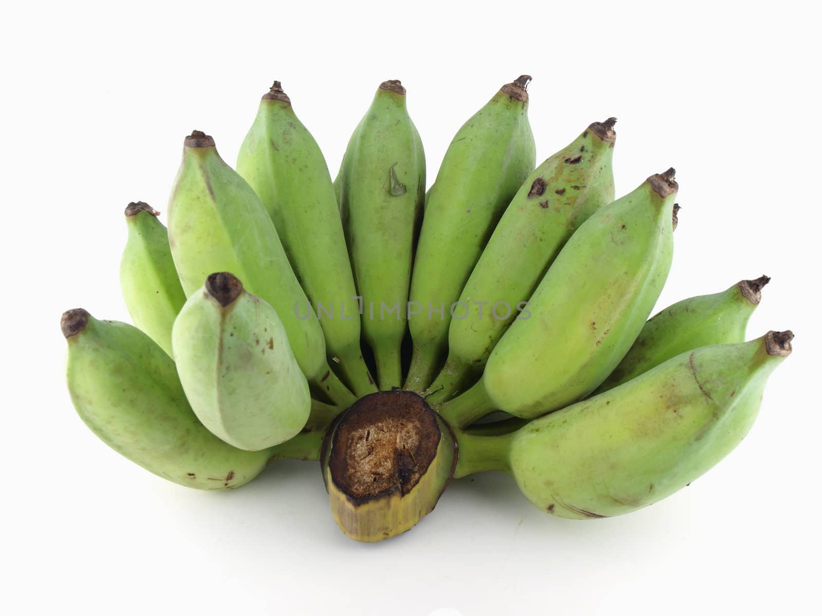 Fresh cultivated banana, raw banana   