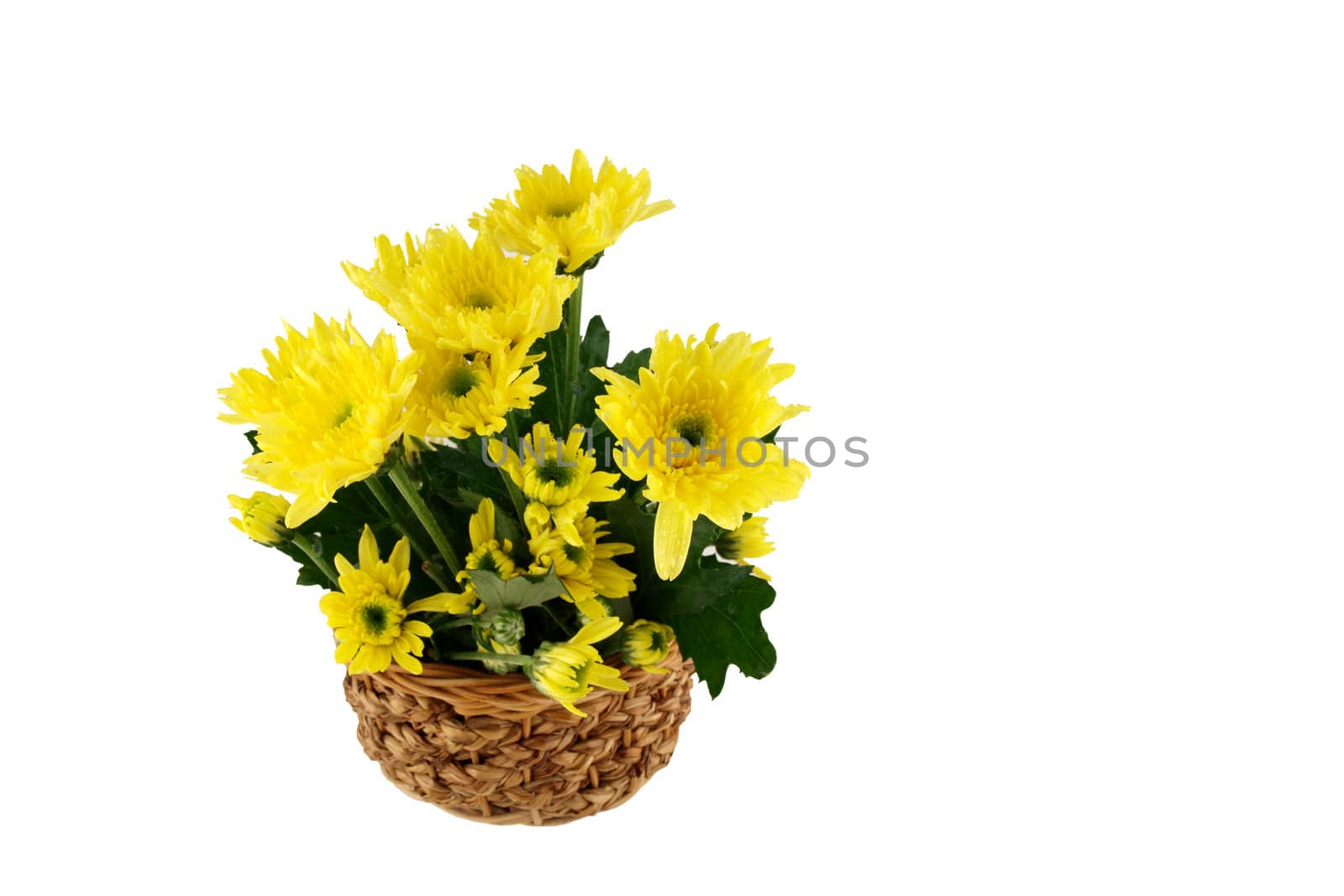 Yellow flower on the basket by jakgree