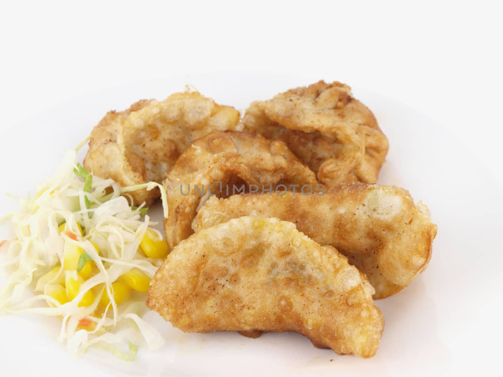 Fried Dumplings  by jakgree