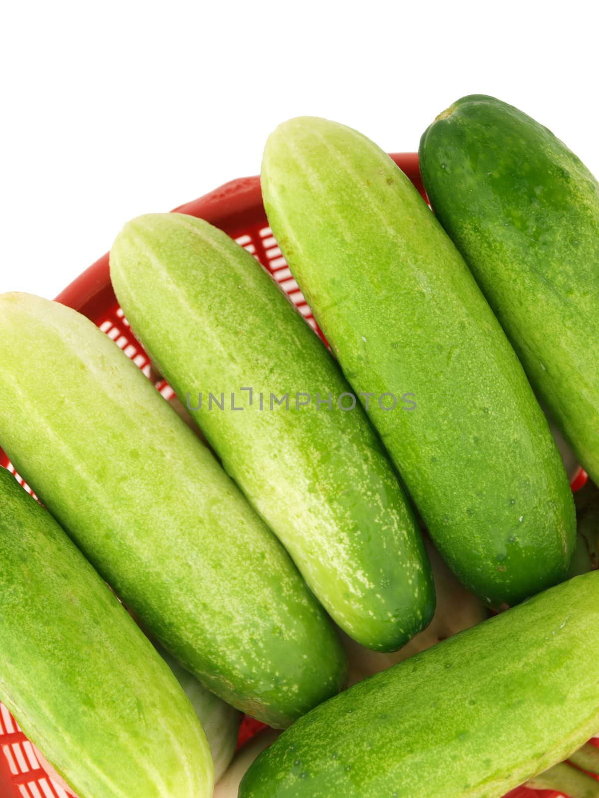 Fresh organic cucumber on white background 