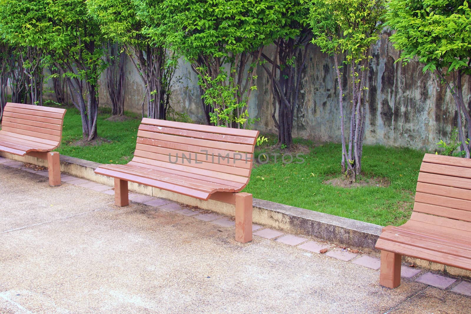 Wooden benches in the park  