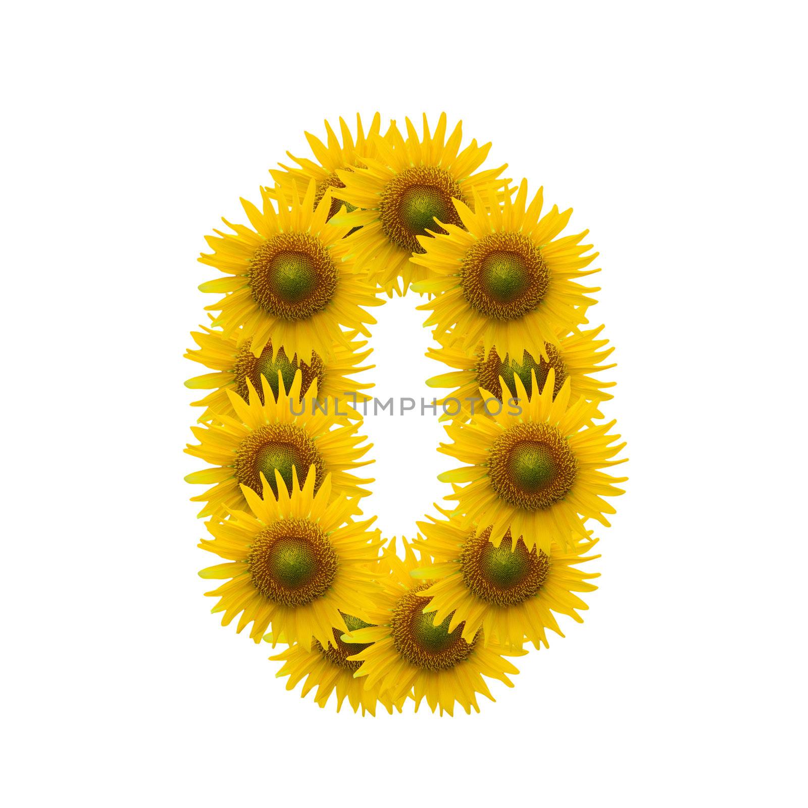 0, Sun flower alphabet isolated on white