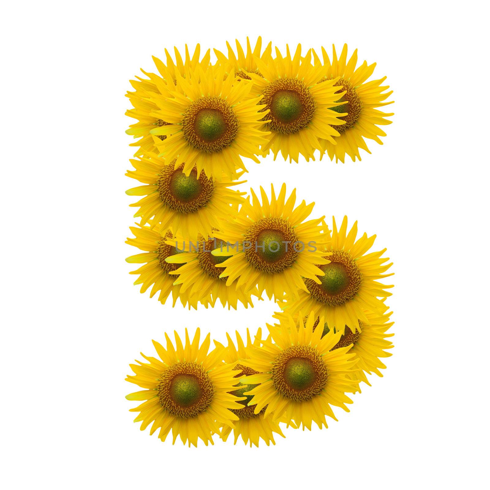 5,Sun flower alphabet isolated on white by jakgree