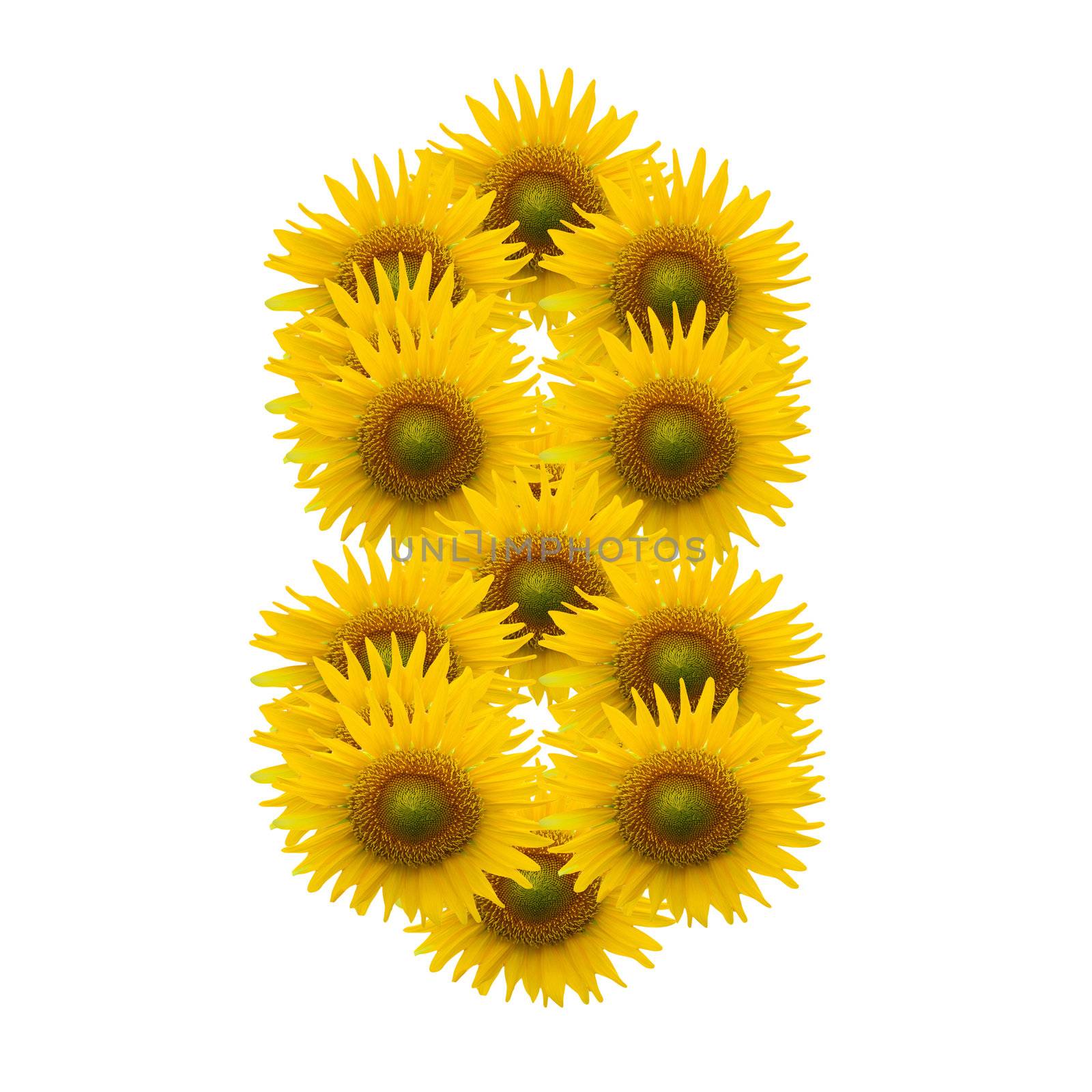 8, Sun flower alphabet isolated on white by jakgree