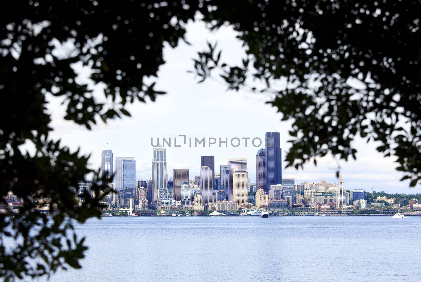 View of Seattle skyline through the tree silhouette by jarenwicklund