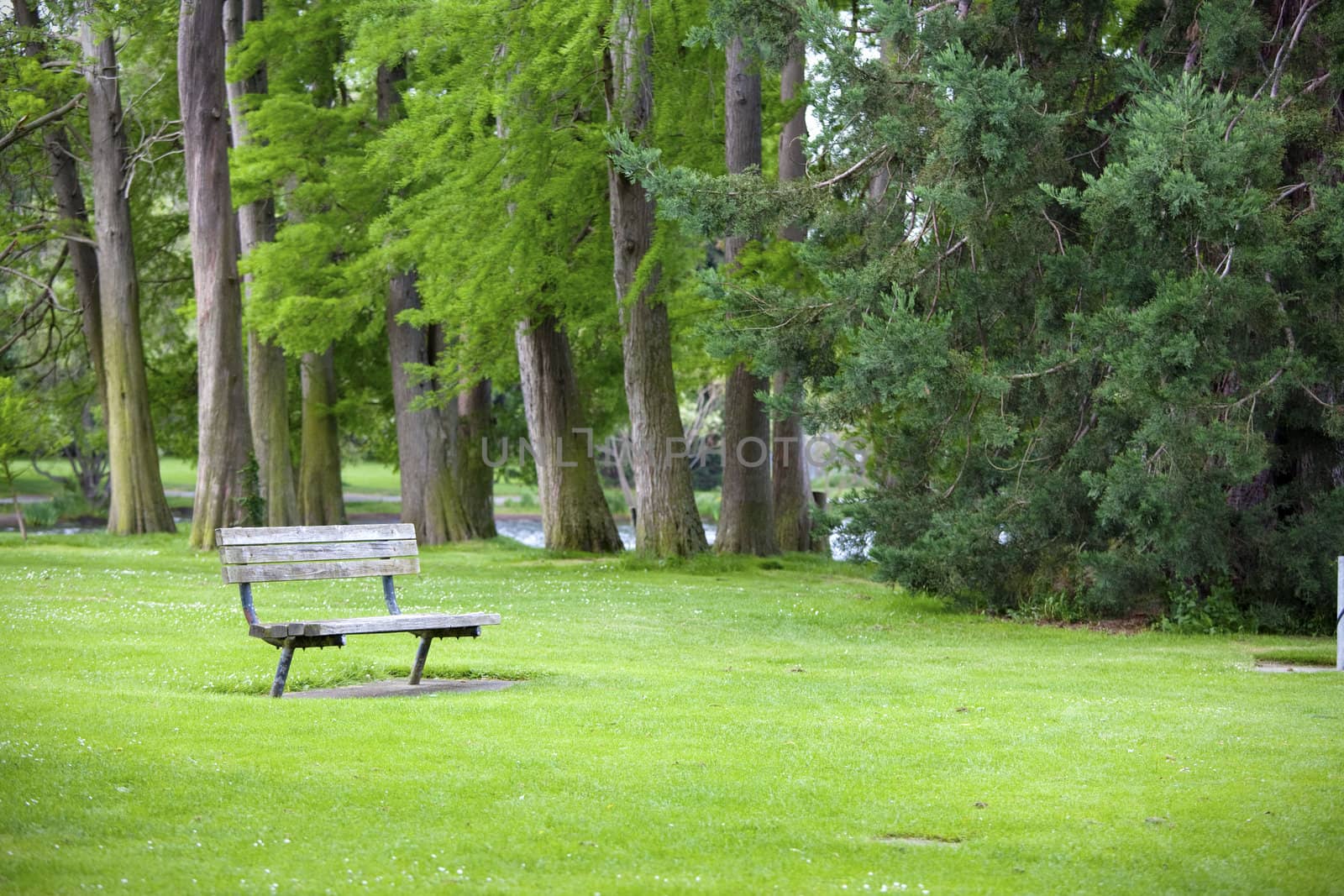 Quiet corner of lush green park with a bench by jarenwicklund
