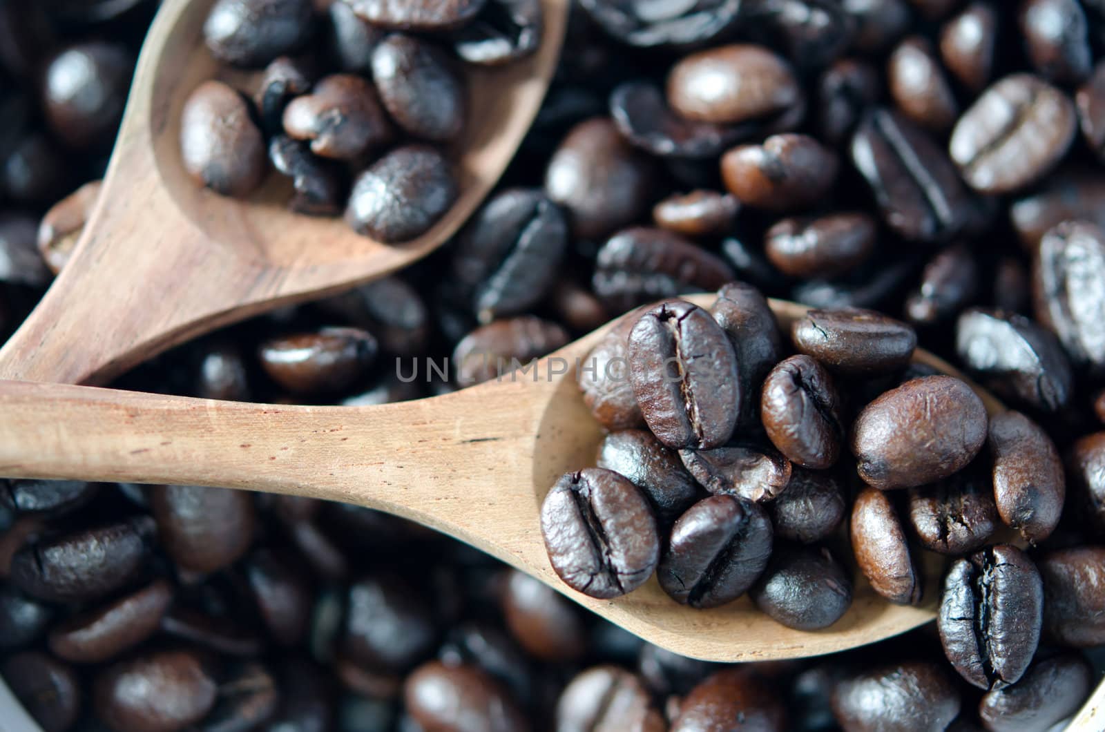 Close-Up wooden spoon of coffee beans  .