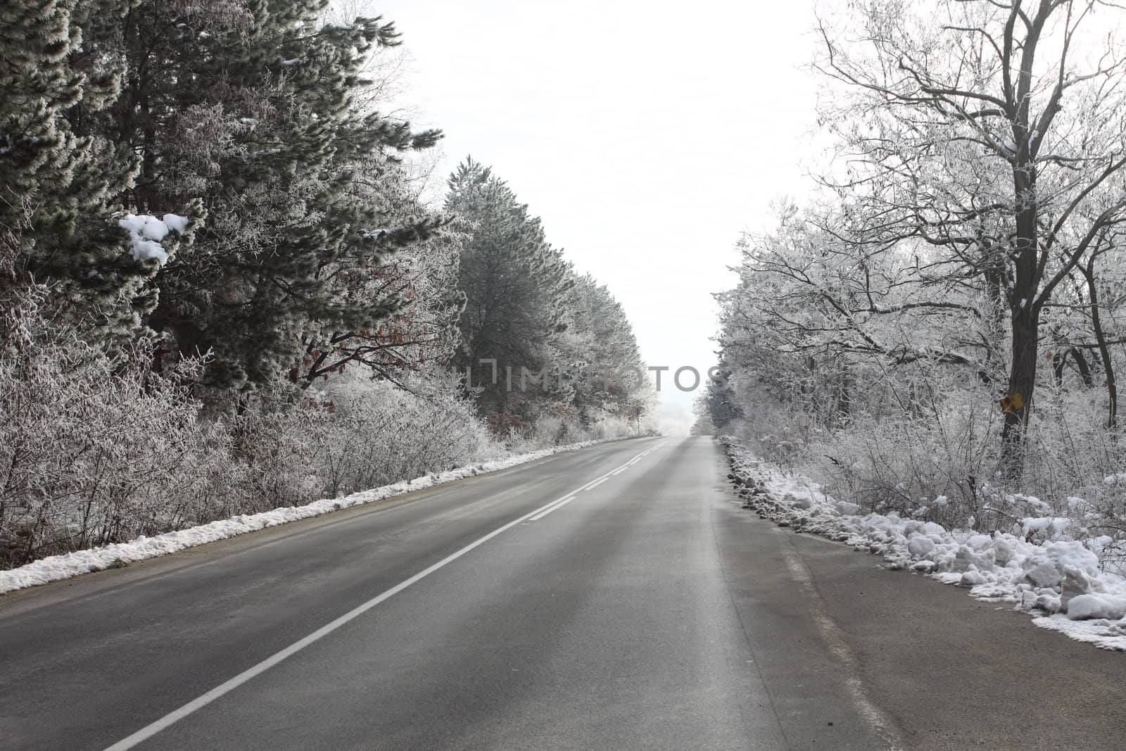 Winter road in the mountain