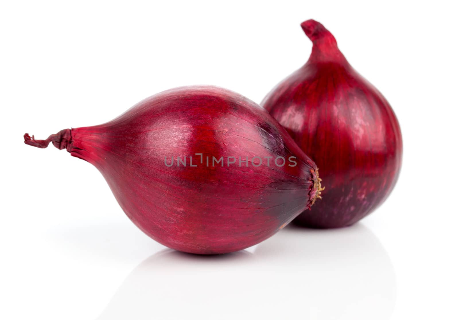 red onions on a white background, are isolated.